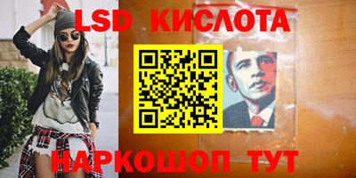ПСИЛОЦИБИНОВЫЕ ГРИБЫ Берёзовский