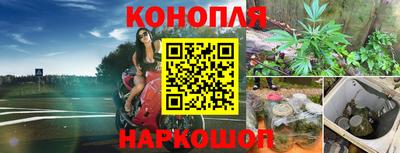 ПСИЛОЦИБИНОВЫЕ ГРИБЫ Берёзовский