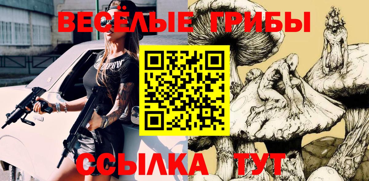 Галлюциногенные грибы Psilocybe  Псилоцибиновые грибы Psilocybine cubensis  Вход с VPN  Заволжье 