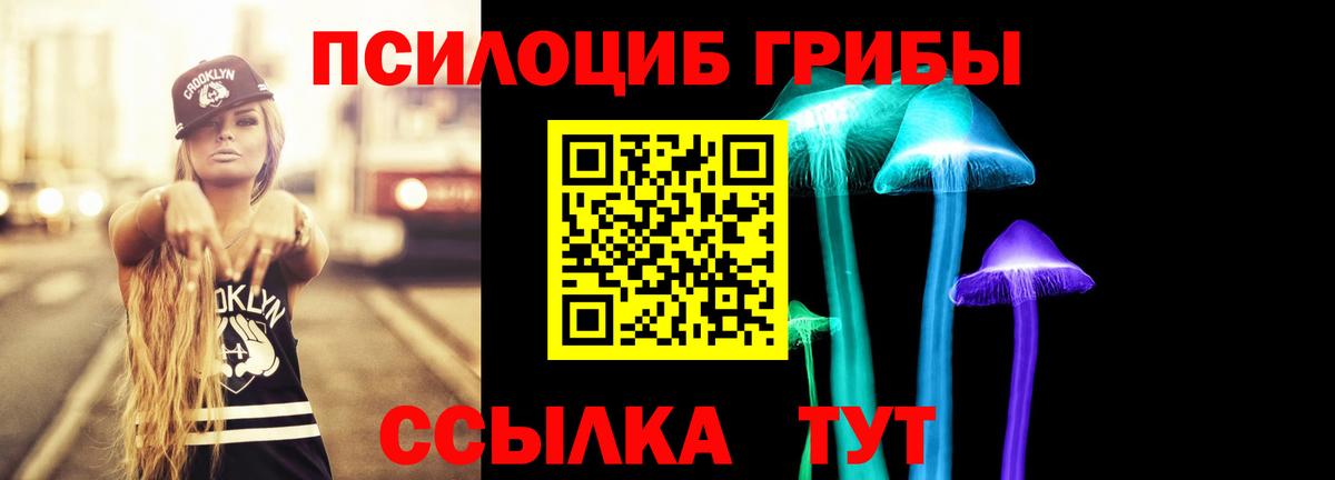 Галлюциногенные грибы Psilocybine cubensis Заволжье